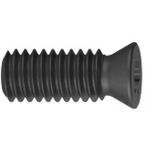 11681_Torx-Spannschraube_1_Enlarge