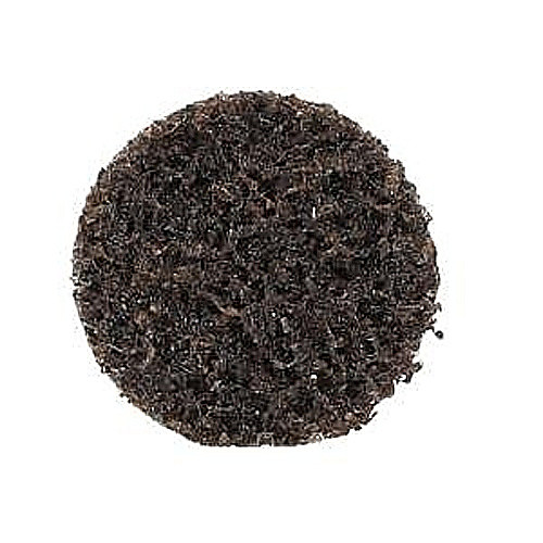 3/4″ Bear-Tex Rapid Prep Non-Woven Quick-Change Disc TR (Type III) Aluminum Oxide Coarse Grit