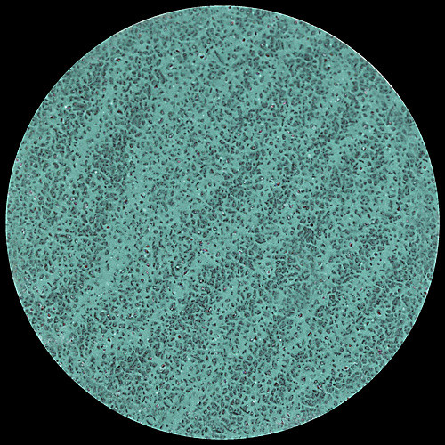 rda_112411_Enlarge