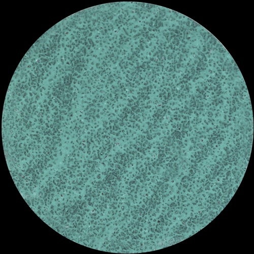 rda_1_Enlarge