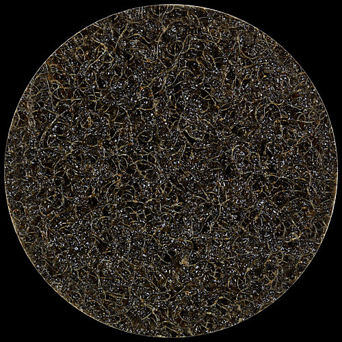 rda_112551_Enlarge