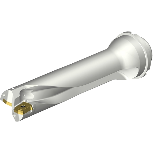 DS20D4200DM4004 INDX DRL