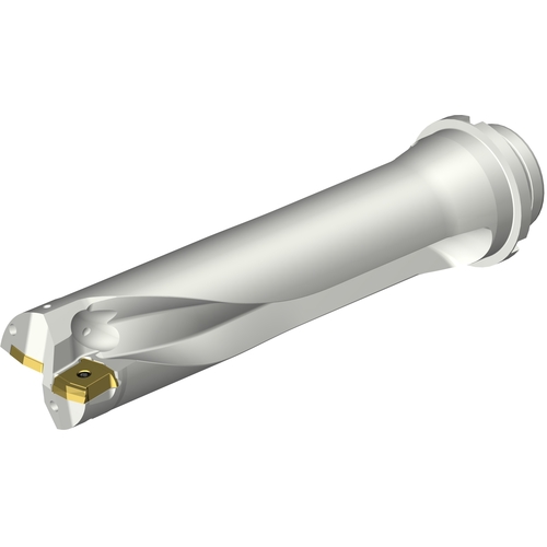 DS20D5300DM5004 INDX DRL
