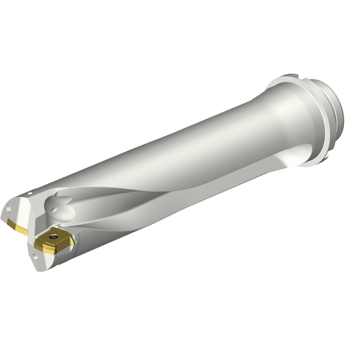 DS20D5500DM5004 INDX DRL