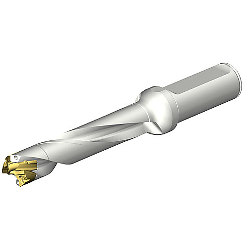 ‎DE10-D1700-170L20-5