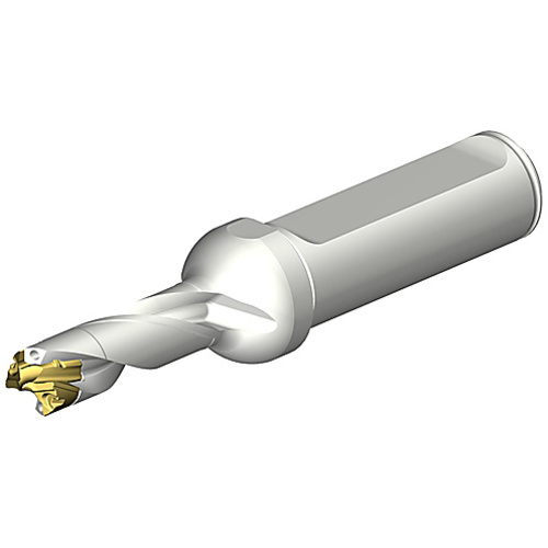 ‎DE10-D1000-100L16-3