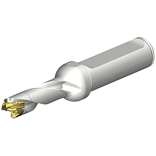 ‎DE10-D1100-110L16-3