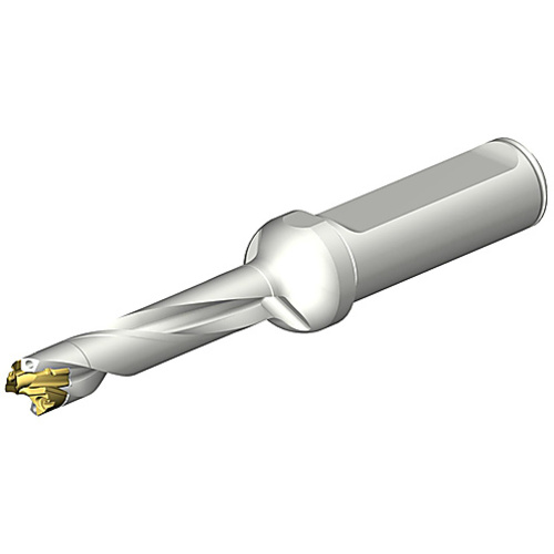 ‎DE10-D1000-100LX16-5