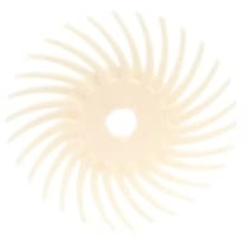 3X3/8 SR RADIAL BRISTLE