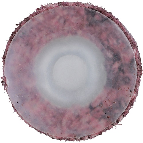 Scotch-Brite Roloc Surface Conditioning Disc SC-DS A/O Medium TS 3/4″