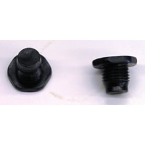HEX HEAD PLUG BOLT (2)