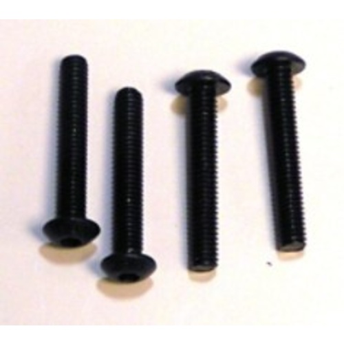 SCREW 30308