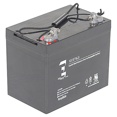 AGM BATTERY (2) 12V