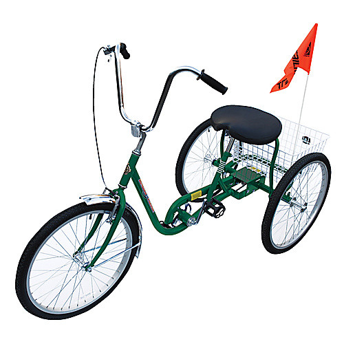 Standard Industrial Bicycle 250 lb Green