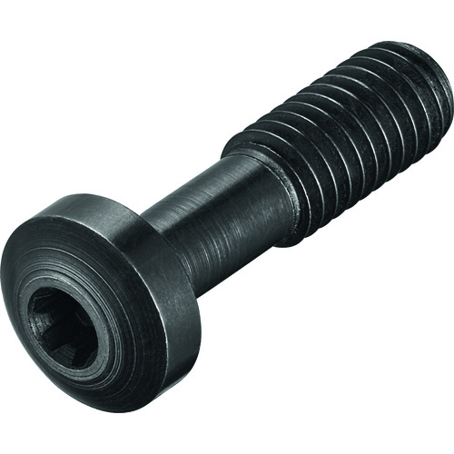FS1474 Screw with Head
