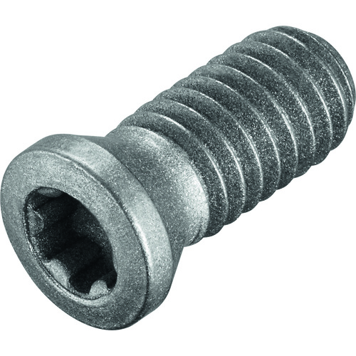 FS2266 Screw with Head