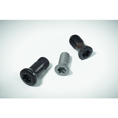 FS376 Screw with Head